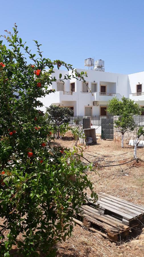 Apartament Pela *